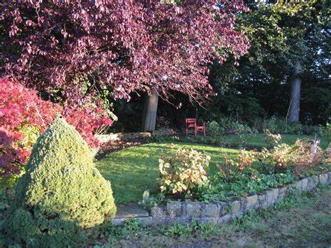 red chair garden
